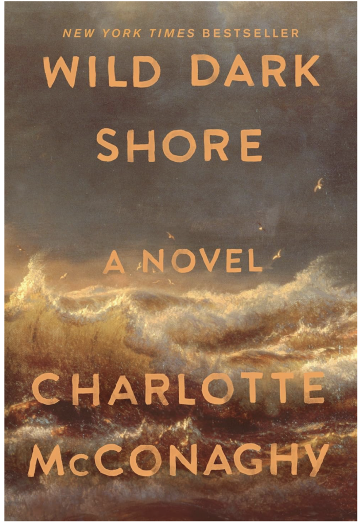 Wild Dark Shore